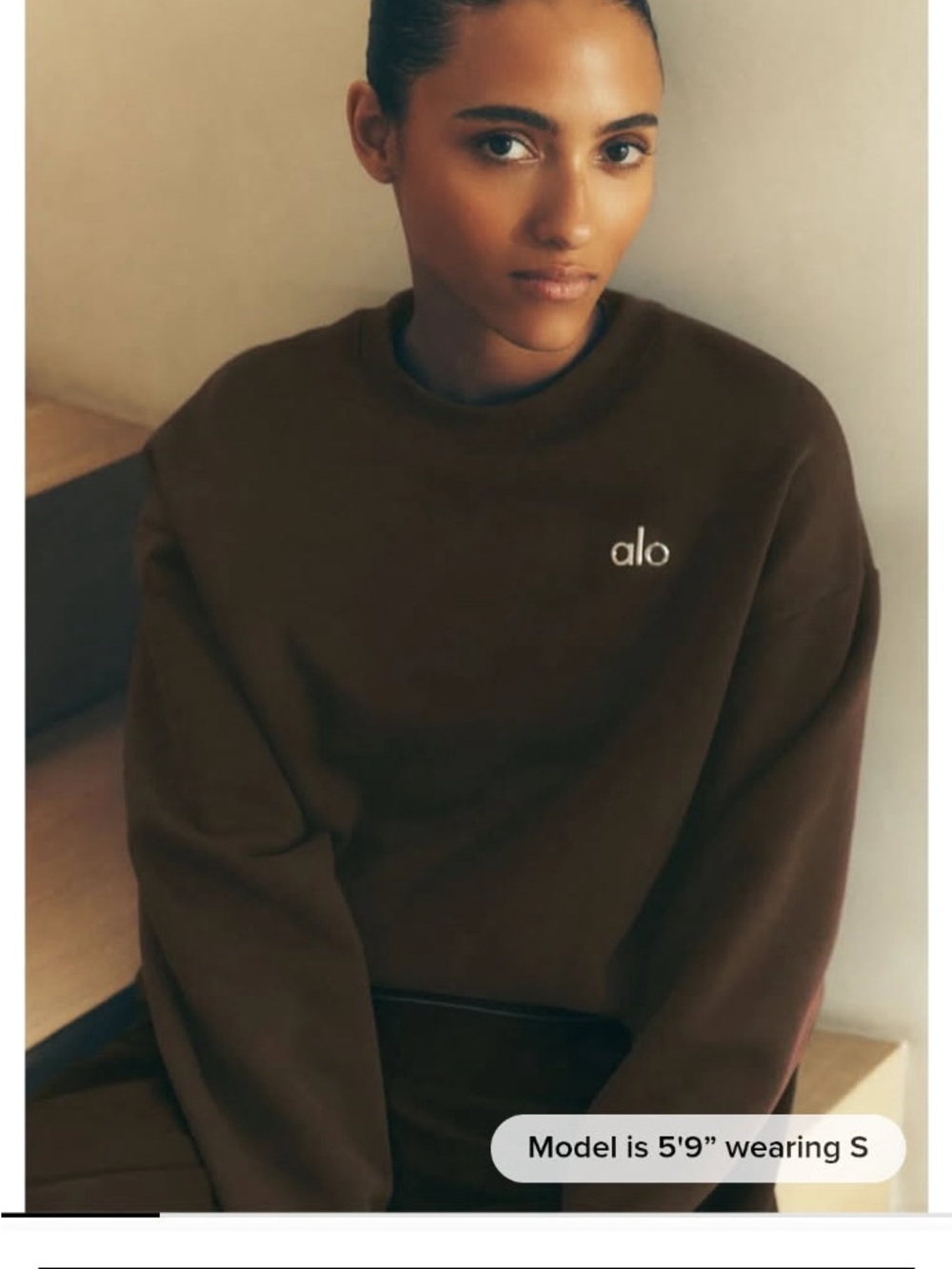 ALO Yoga Expresso Crewneck Sweatshirt with Silver Logo - Picture 4 of 5